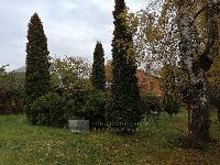 Дом 390.0  м2, Алмаз-2 СНТ сад