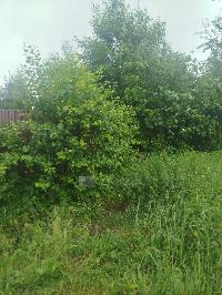 Участок 34.0  соток, Кузнецово д.