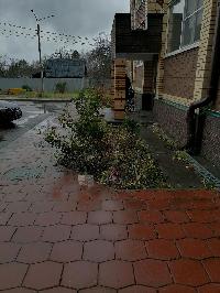 200.5  м2, Лесной р.п.