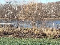 Дом 125.0  м2, Малые Петрищи д.