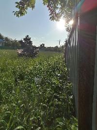 Участок 25.0  соток, Малые Жеребцы д.