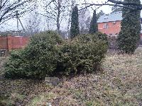 Дом 390.0  м2, Алмаз-2 СНТ сад