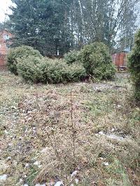 Дом 390.0  м2, Алмаз-2 СНТ сад