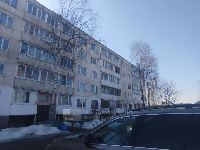 52.8  м2, Огуднево д.