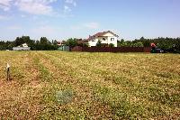 Участок 20.0  соток, Тишино д.