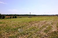 Участок 20.0  соток, Тишино д.