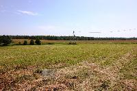 Участок 20.0  соток, Тишино д.