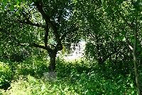 Дом 56.0  м2, Никольско-Архангельский мкр
