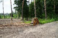 Участок 6.0  соток, Восход снт