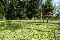 Участок 6.0  соток, Восход снт