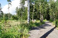 Участок 6.0  соток, Восход снт