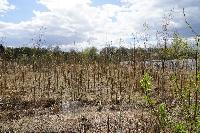 Участок 5.0  соток, Салтыковка мкр