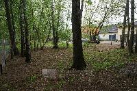 Участок 6.5  соток, Никольско-Архангельский мкр