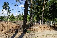 Участок 7.4  соток, Восход снт