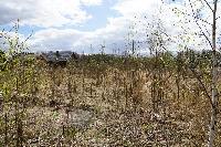 Участок 9.2  соток, Салтыковка мкр