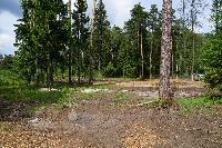 Участок 7.4  соток, Восход снт