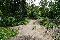 Участок 7.4  соток, Восход снт