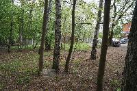 Участок 6.5  соток, Никольско-Архангельский мкр