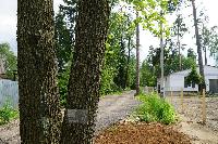 Участок 6.6  соток, Восход снт