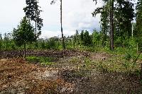 Участок 7.4  соток, Восход снт