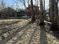 Участок 6.5  соток, Никольско-Архангельский мкр