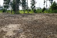 Участок 14.0  соток, Восход снт