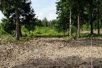 Участок 14.0  соток, Восход снт