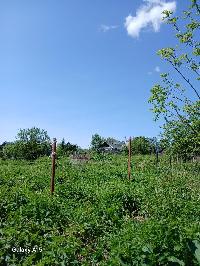 Участок 15.0  соток, Протасово д.