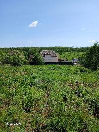 Участок 15.0  соток, Протасово д.
