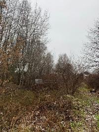 Участок 30.0  соток, Палицы д.