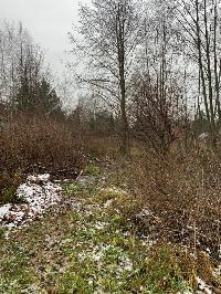 Участок 30.0  соток, Палицы д.