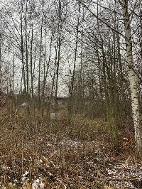Участок 30.0  соток, Палицы д.