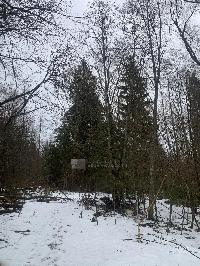 Участок 995.0  соток, Руза г.
