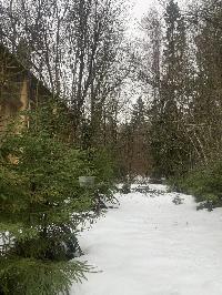 Участок 995.0  соток, Руза г.