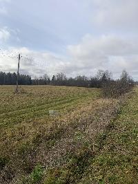 Участок 560.0  соток, Дятлово д.