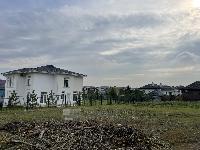 Участок 10.0  соток, Дмитровское с.