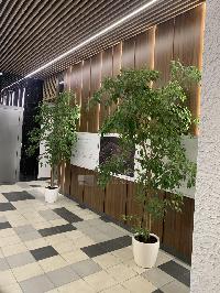 25.0  м2, Москва