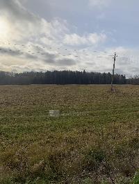 Участок 560.0  соток, Дятлово д.