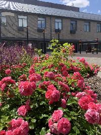 25.0  м2, Москва