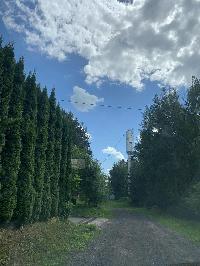 Участок 8.0  соток, Дмитровское с.