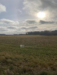 Участок 560.0  соток, Шаховская р.п.