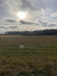 Участок 560.0  соток, Шаховская р.п.