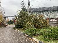 Дом 400.0  м2, Борзые д.