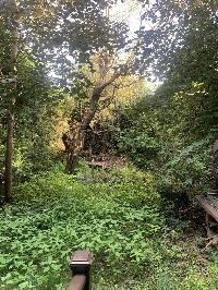 Дом 250.0  м2, Глухово д.