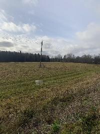 Участок 560.0  соток, Шаховская р.п.