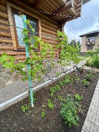 Дом 128.7  м2, Зеленый ветер-1 тер. СНТ